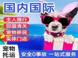 深圳宝安空运公司国际宠物托运 【国